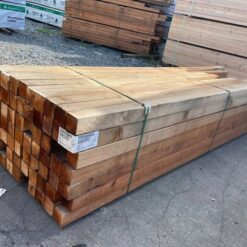 Kháng mối mọt, nấm mốc