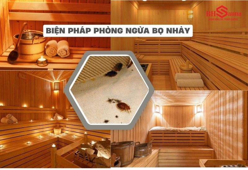 Top 5+ cách diệt bọ nhảy trong phòng xông hơi nhanh chóng Nên chủ động phòng ngừa bọ nhảy bò vào phòng xông hơi