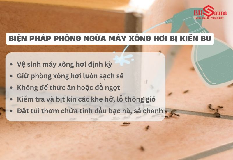 5+ cách xử lý khi máy xông hơi bị kiến bu hiệu quả đơn giản Biện pháp phòng ngừa máy xông hơi bị kiến bu đơn giản