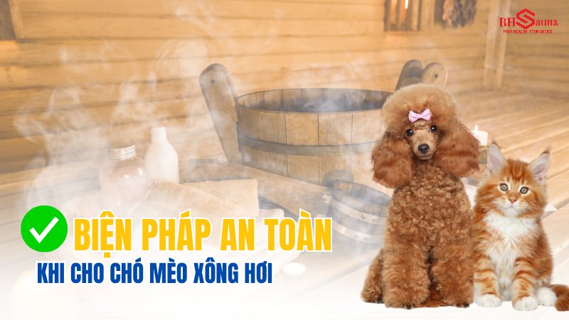 Có nên xông hơi cho chó mèo? Lợi ích & Nguy hại bạn nên biết Các biện pháp an toàn khi xông hơi