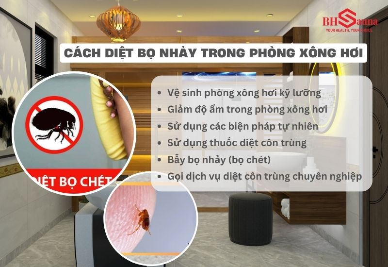 Top 5+ cách diệt bọ nhảy trong phòng xông hơi nhanh chóng Các cách diệt bọ nhảy trong phòng xông hơi hiệu quả