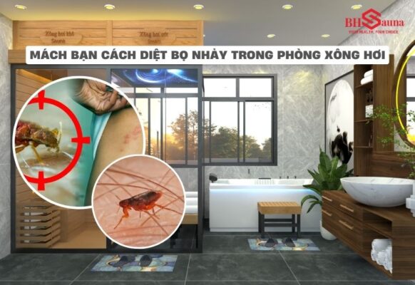 Chia sẻ cách diệt bọ nhảy trong phòng xông hơi nhanh chóng, triệt để