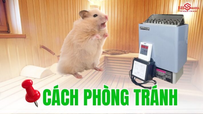 Cách phòng tránh chuột hamster bị kẹt vào máy xông hơi