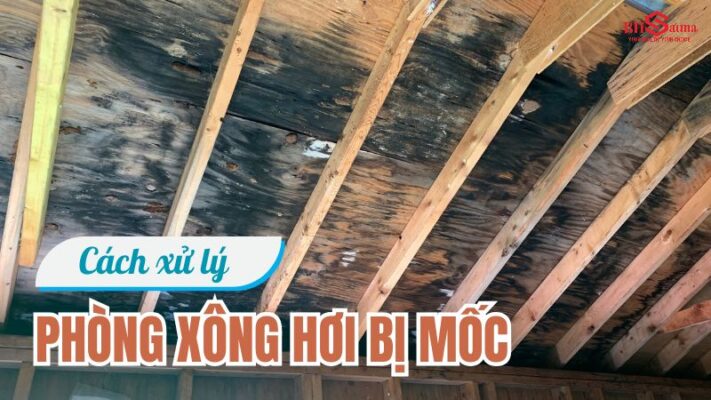 Cách xử lý phòng xông hơi bị mốc hiệu quả, đơn giản nhất