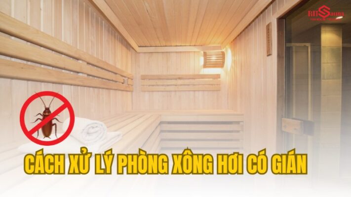 Cách xử lý phòng xông hơi có gián hiệu quả nhất