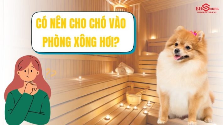 Có nên cho chó vào phòng xông hơi không là thắc mắc của nhiều người