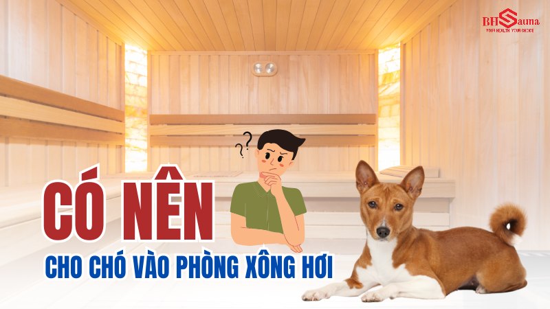 Có nên cho chó vào phòng xông hơi & 5+ những điều cần biết Có nên cho chó vào phòng xông hơi hay không