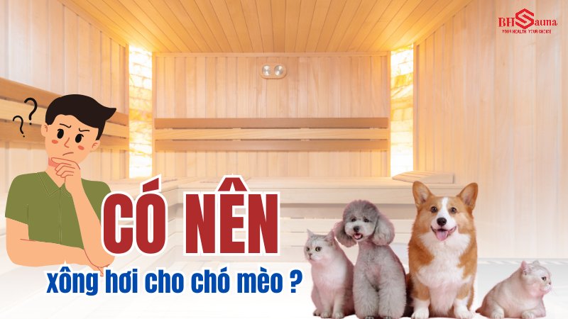 Có nên xông hơi cho chó mèo? Lợi ích & Nguy hại bạn nên biết Có nên xông hơi cho chó mèo