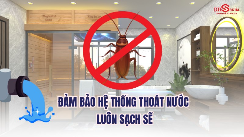 Top 5+ cách xử lý phòng xông hơi có gián hiệu quả nhất Đảm bảo hệ thống thoát nước sạch sẽ