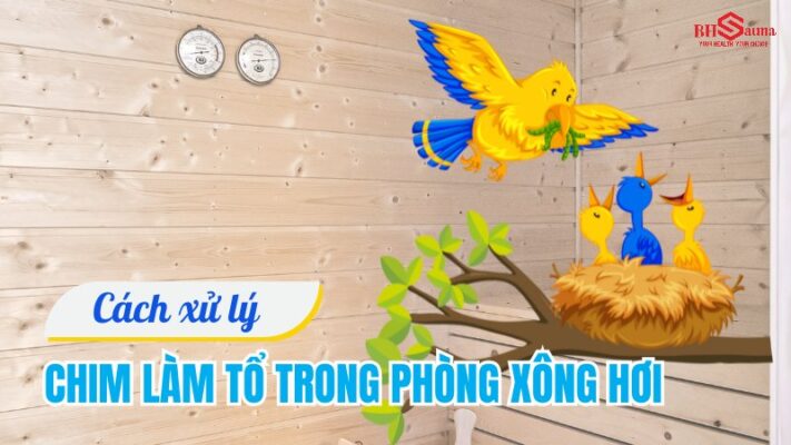 Hiện tượng chim làm tổ trong phòng xông hơi