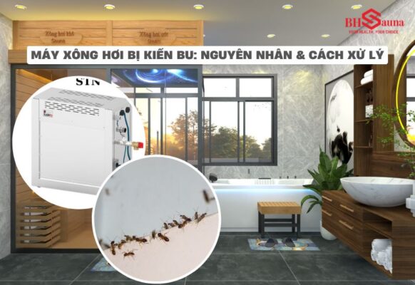 Tìm hiểu nguyên nhân và giải pháp xử lý triệt để máy xông hơi bị kiến bu