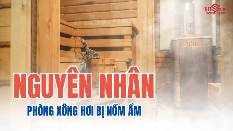 Phòng xông hơi bị nồm ẩm: Nguyên nhân và Cách khắc phục Nguyên nhân khiến phòng xông hơi bị nồm ẩm