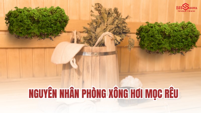 Phòng xông hơi mọc rêu: Nguyên nhân & 5+ Cách xử lý hiệu quả Nguyên nhân khiến phòng xông hơi mọc rêu