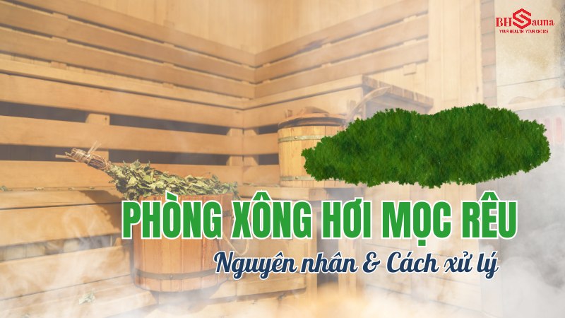 Phòng xông hơi mọc rêu: Nguyên nhân & 5+ Cách xử lý hiệu quả Phòng xông hơi mọc rêu: Nguyên nhân và cách xử lý hiệu quả