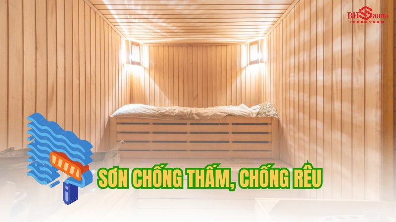 Phòng xông hơi mọc rêu: Nguyên nhân & 5+ Cách xử lý hiệu quả Sơn chống thấm, chống rêu mốc