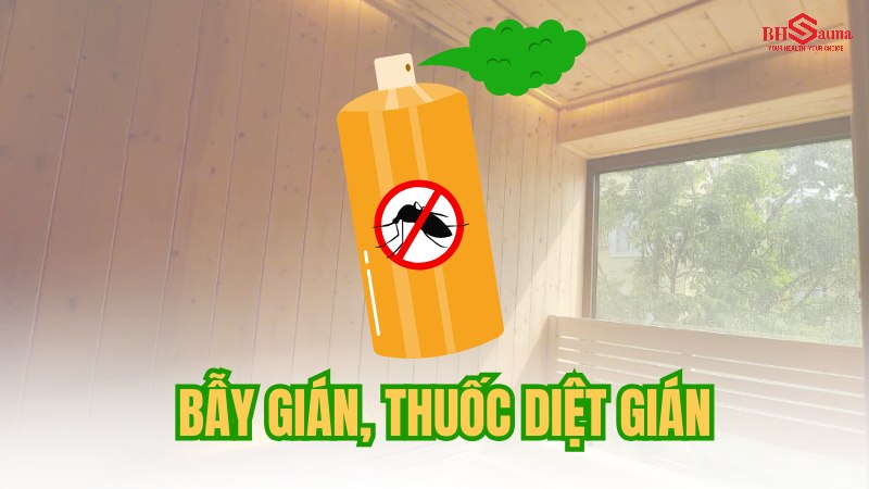 Top 5+ cách xử lý phòng xông hơi có gián hiệu quả nhất Sử dụng bẫy và thuốc diệt gián an toàn