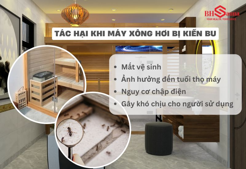 5+ cách xử lý khi máy xông hơi bị kiến bu hiệu quả đơn giản Kiến bu vào máy xông hơi gây ra nhiều tác hại