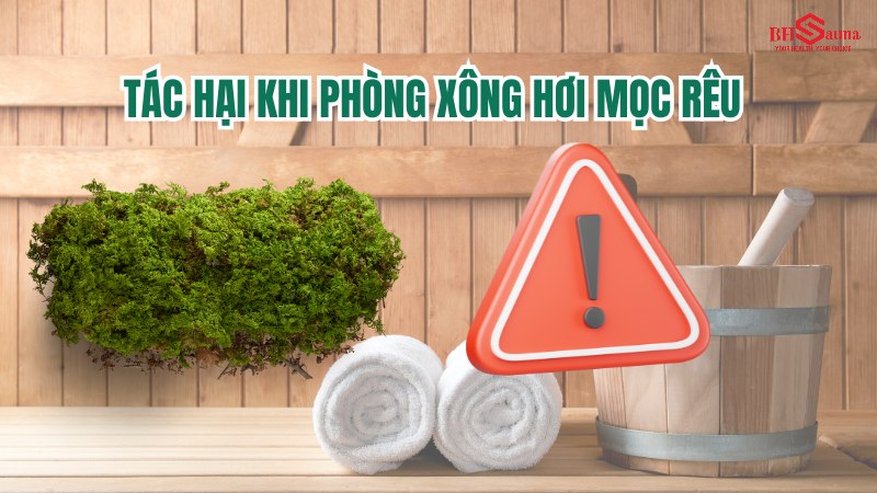 Phòng xông hơi mọc rêu: Nguyên nhân & 5+ Cách xử lý hiệu quả Tác hại khi phòng xông hơi mọc rêu