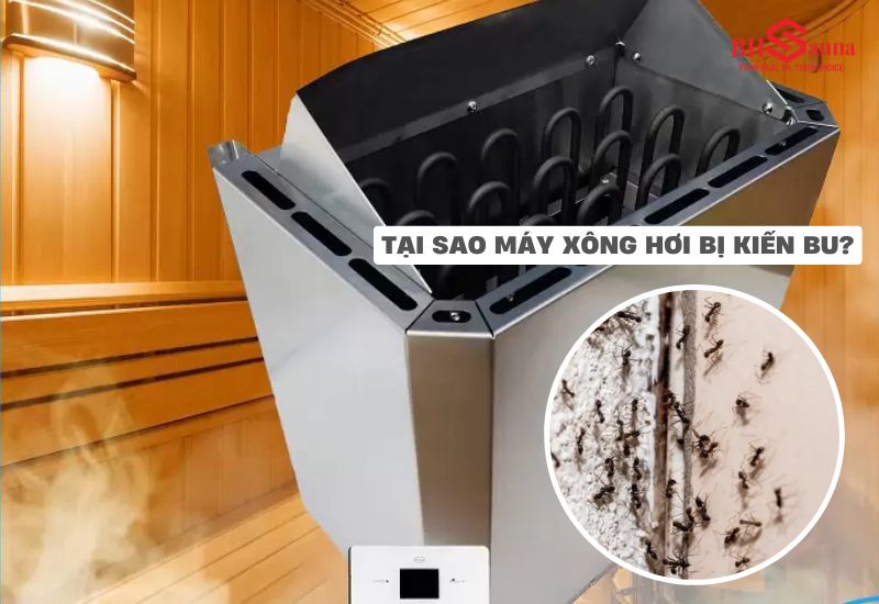 5+ cách xử lý khi máy xông hơi bị kiến bu hiệu quả đơn giản Có nhiều yếu tố khiến máy xông hơi trở thành mục tiêu bị kiến bu
