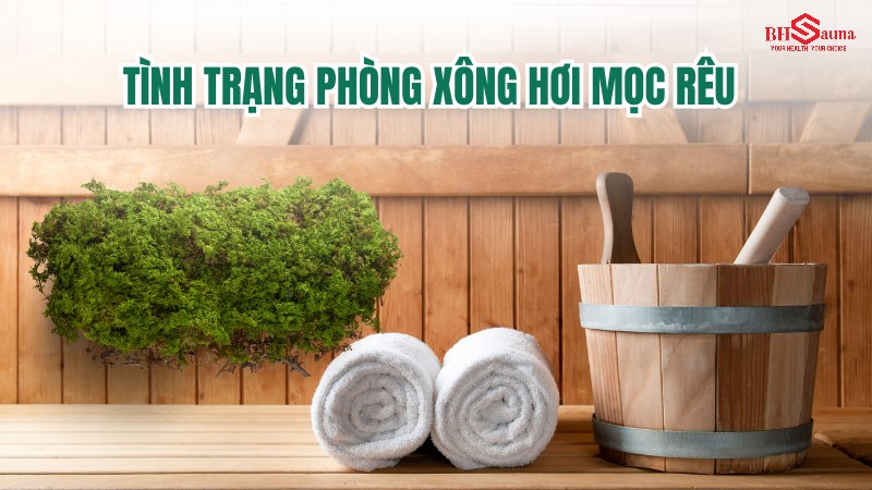 Phòng xông hơi mọc rêu: Nguyên nhân & 5+ Cách xử lý hiệu quả Tình trạng phòng xông hơi mọc rêu
