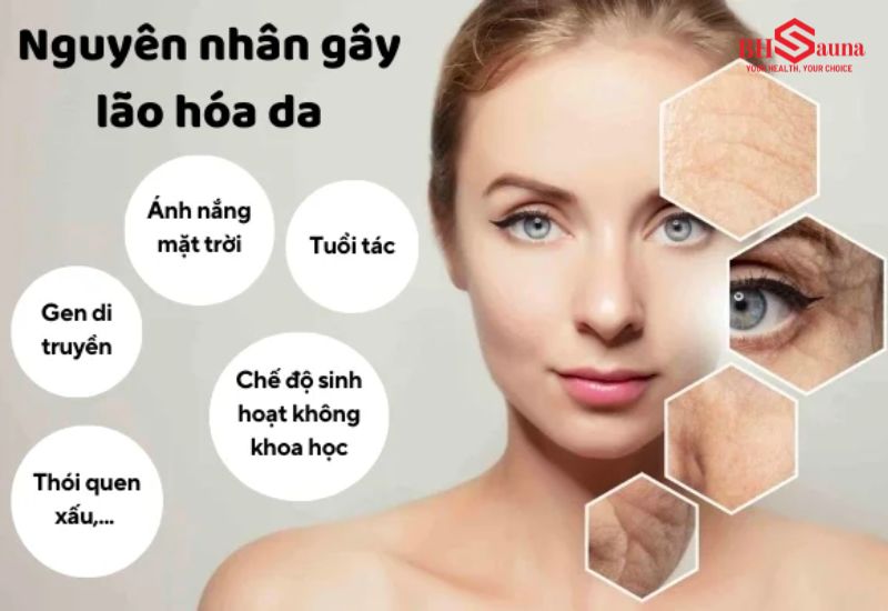 Có nhiều nguyên nhân chủ quan và khách quan gây lão hóa da