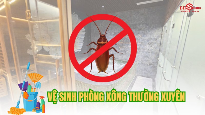 Top 5+ cách xử lý phòng xông hơi có gián hiệu quả nhất Vệ sinh, dọn dẹp phòng xông hơi định kỳ