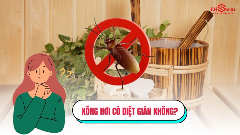 Xông hơi có diệt gián không?