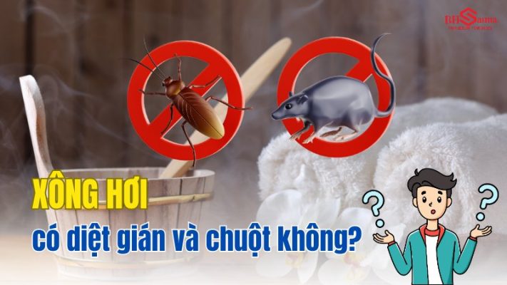 Xông hơi có diệt gián và chuột không?