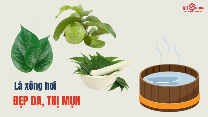 Các loại lá xông hơi phổ biến trong y học cổ truyền giúp giảm mụn