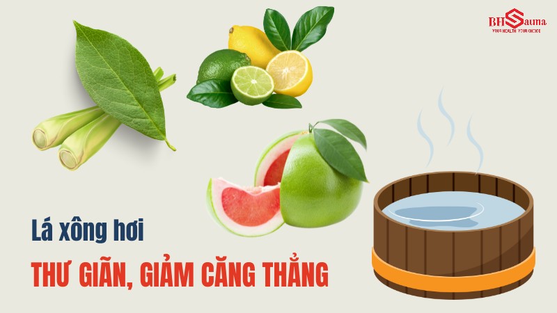 Các loại lá xông hơi phổ biến trong y học cổ truyền giúp thư giãn