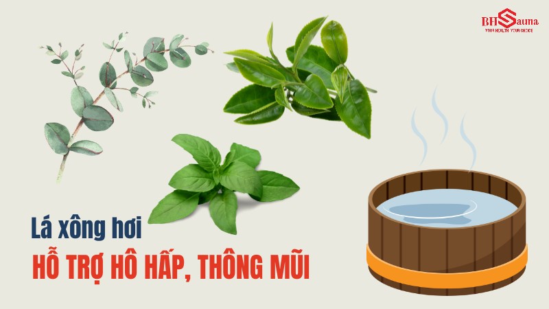 Các loại lá xông hơi phổ biến trong y học cổ truyền hỗ trợ hô hấp