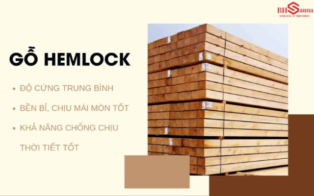 Gỗ Hemlock: Loại gỗ phổ biến khi làm phòng xông hơi Loại gỗ Độc cần bờ Tây có nhiều ưu điểm vượt trội