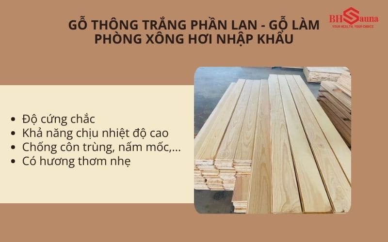 Top 4+ các loại gỗ làm phòng xông hơi chuyên dụng Đặc điểm của gỗ thông trắng Phần Lan
