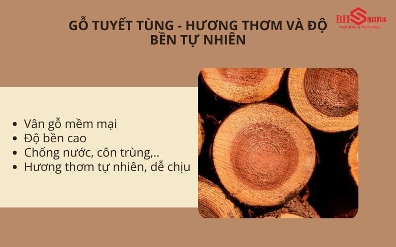 Top 4+ các loại gỗ làm phòng xông hơi chuyên dụng Đặc điểm của gỗ Tuyết Tùng