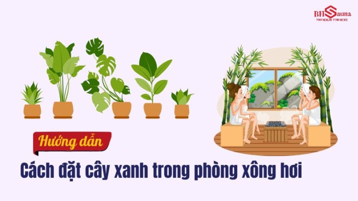Đặt cây xanh trong phòng xông hơi: Lợi ích và Cách thực hiện