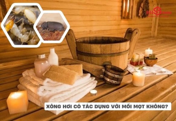 Giải đáp câu hỏi: “Xông hơi có tạng dụng với mối mọt không?”