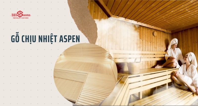 Top 5+ vật liệu chống ẩm cho phòng xông hơi không thể bỏ qua Gỗ chịu nhiệt Aspen thích hợp để chống ẩm cho phòng xông hơi khô
