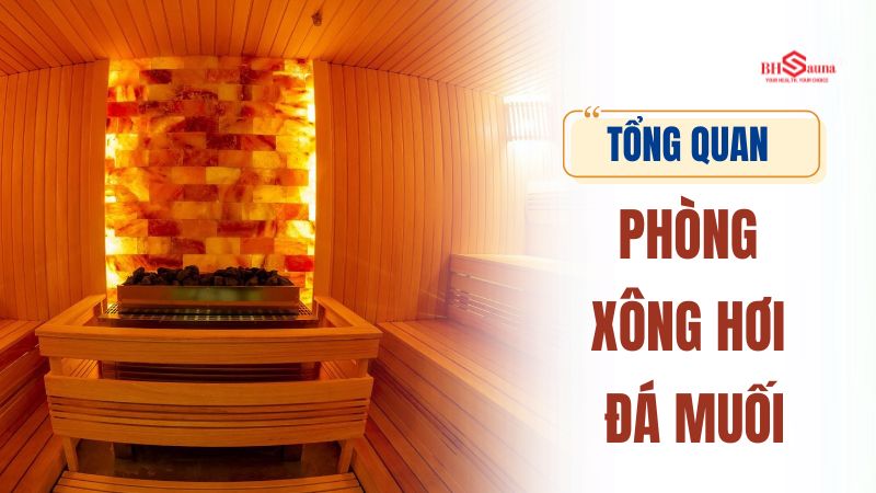 Chi phí làm phòng xông hơi đá muối: Bảng giá & Những lưu ý Tổng quan về phòng xông hơi đá muối
