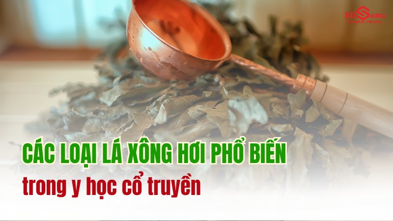 Top 13 các loại lá xông hơi phổ biến trong y học cổ truyền