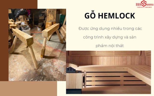 Gỗ Hemlock: Loại gỗ phổ biến khi làm phòng xông hơi Gỗ Hemlock từ lâu đã được ứng dụng rất nhiều trong cuộc sống