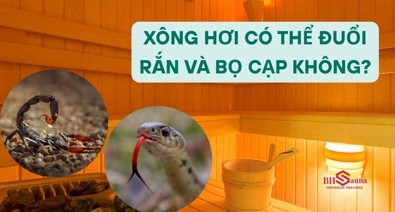 Xông hơi có thể đuổi rắn và bọ cạp không?
